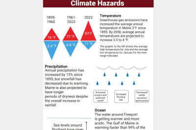 Freeport Vulnerability thumbnail
